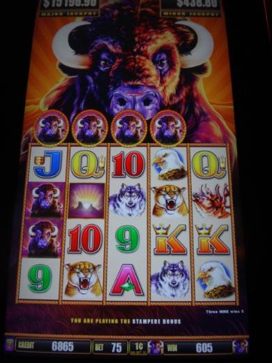 Stampede slots online