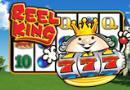 reel-king1