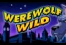 werewolf-wild