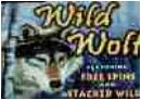 wildwolfslots
